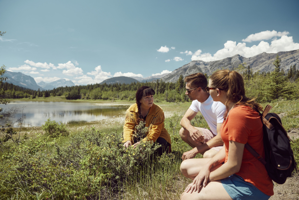People on a medicine walk where they learn about plants and their healing benefits. Guide Brenda.