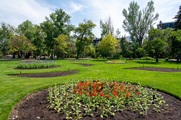 Riley Park in bloom